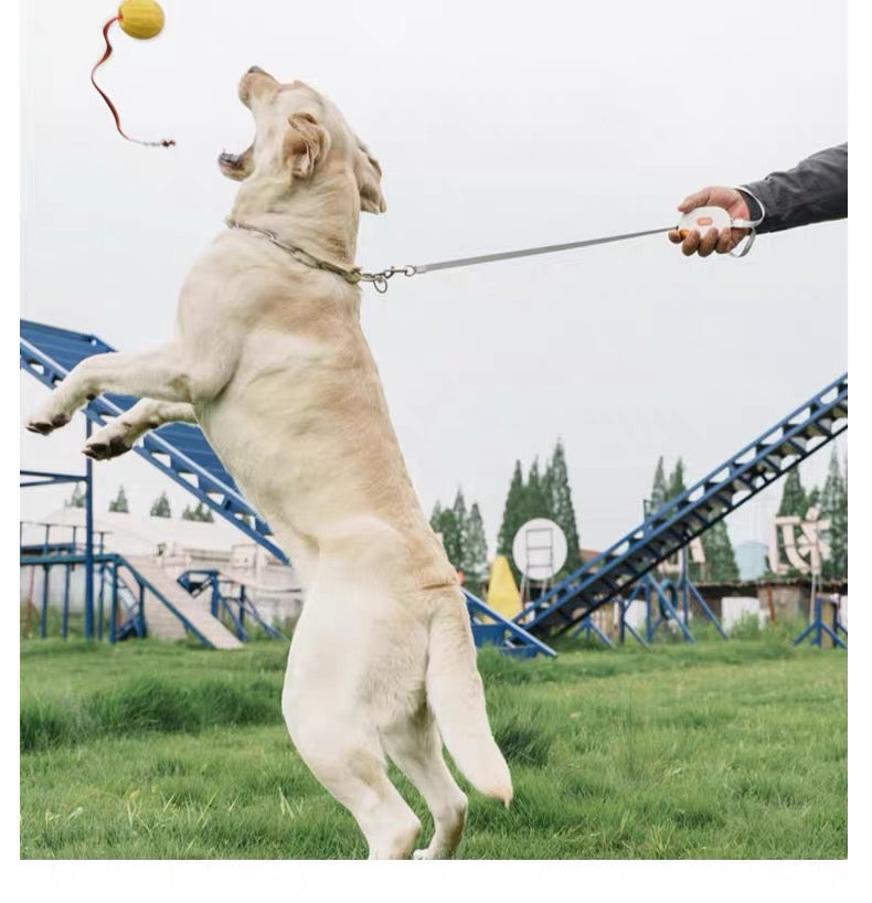 POD ポケットリード 1.5m｜超軽量90g コンパクト犬用リード