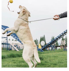 POD ポケットリード 1.5m｜超軽量90g コンパクト犬用リード
