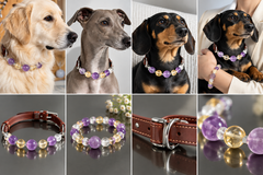 PET & ME アメジスト・シトリン・水晶 ペアアクセサリーセット｜ペットネックレス＆ブレスレット