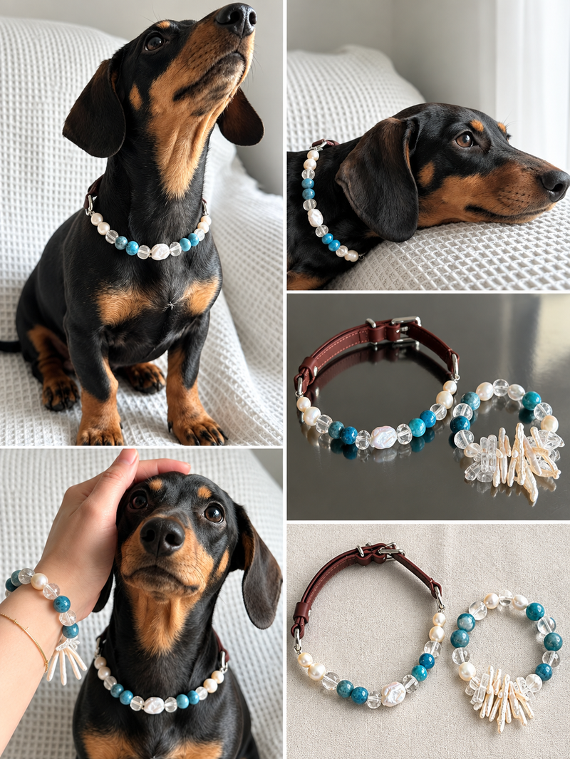 PET & ME ブルーアパタイト・水晶・淡水パール ペアアクセサリーセット｜ペットネックレス＆ブレスレット