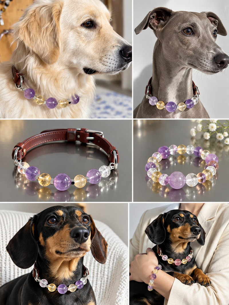 PET & ME アメジスト・シトリン・水晶 ペアアクセサリーセット｜ペットネックレス＆ブレスレット